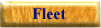 Poseidon Lines fleet